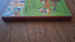 Cuento Infantil Disney Un Día de Campo an̈os 80