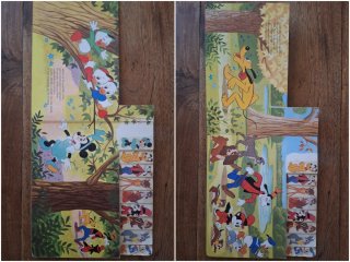 Cuento Infantil Disney Un Día de Campo an̈os 80