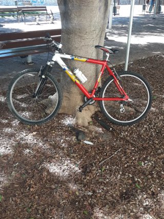 Bicicleta BH Over X 26