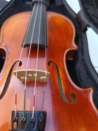 Violín 3/4 con estuche