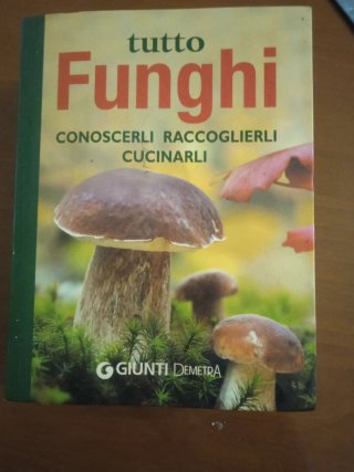 Tutto funghi. Conoscerli, raccoglierli, cucinarli