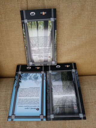 Compañeros de la dragolance segunda trilogía