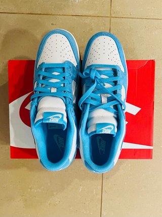 Nike Dunk Low SE