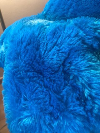 Peluche Cookie Monster y Pájaro Loco