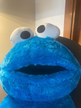 Peluche Cookie Monster y Pájaro Loco
