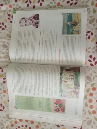 Lengua Castellana y Literatura