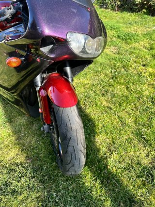 Aprilia RS 125 Culo Avispa
