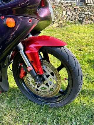 Aprilia RS 125 Culo Avispa