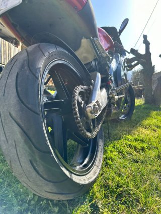 Aprilia RS 125 Culo Avispa