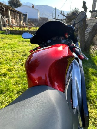 Aprilia RS 125 Culo Avispa