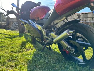 Aprilia RS 125 Culo Avispa