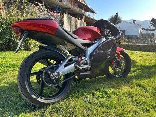 Aprilia RS 125 Culo Avispa