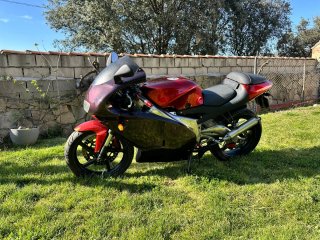 Aprilia RS 125 Culo Avispa