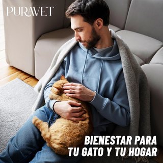 Feromonas Calmantes para Gatos – Difusor + 2 Recam
