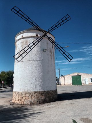 Encofrados con experiencia marina alta