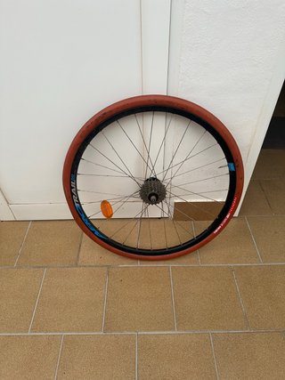 Rodillo Ciclismo + Rueda