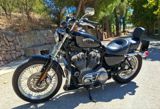 Harley Davidson Sportster 883 Low