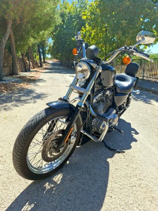 Harley Davidson Sportster 883 Low