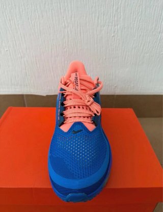 Zapatillas Nike Pegasus Premium talla 44