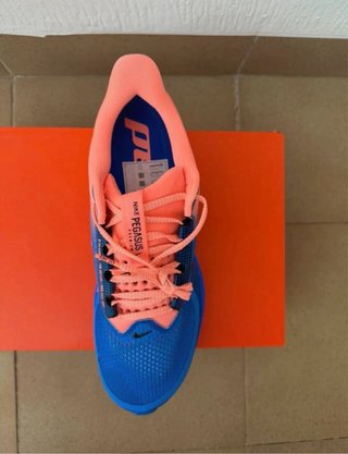Zapatillas Nike Pegasus Premium talla 44