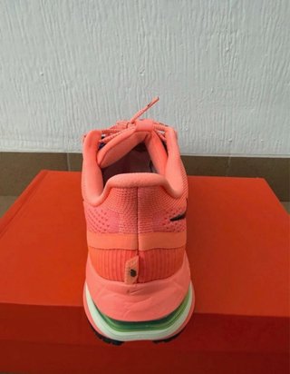 Zapatillas Nike Pegasus Premium talla 44