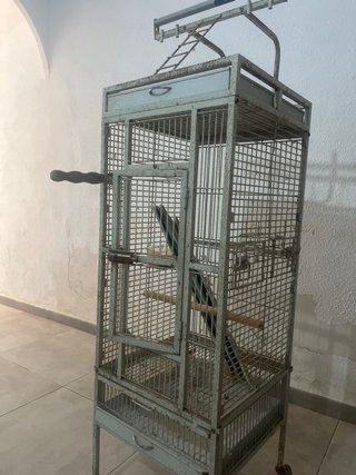 Jaula grande para loro metálica
