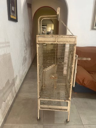 Jaula grande para loro metálica