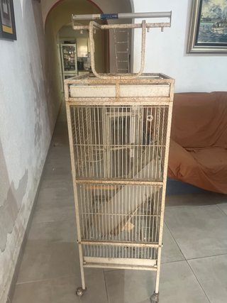 Jaula grande para loro metálica