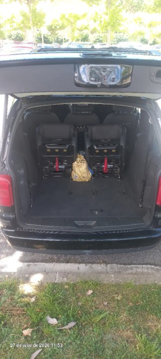 SEAT Alhambra 2007