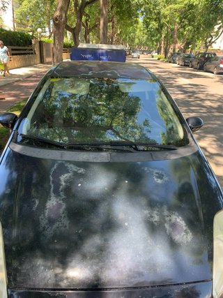 FIAT Punto 2006