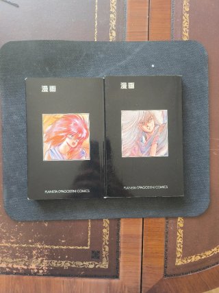 Lote manga Bastard