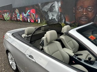 BMW Serie 3 2009