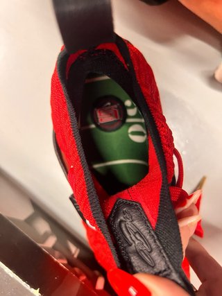 Nike LeBron 15 "Red Diamond Turf"