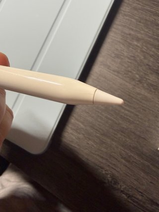 Apple Pencil 1ª Generación