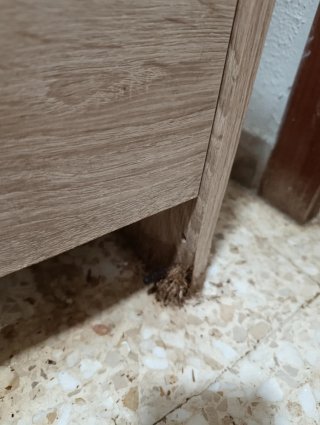 Recibidor, entrada, consola