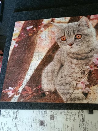 Puzzle gato con flores 1000