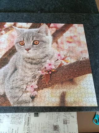 Puzzle gato con flores 1000