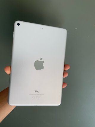 iPad Mini 5ª Gen 256GB Space Gray