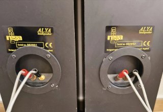 Altavoces Rega Alya Negros