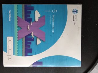 MATEMATICAS M LIGERA 5 PRIMARIA CONSTRUYENDO MU...
