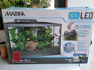 Acuario Marina 10G LED 38L