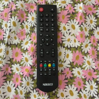 TV Nikkei 24 pollici