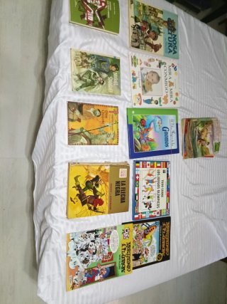 Lote 10 Libros Juveniles