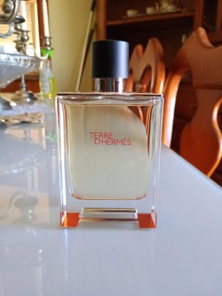 Terre d'Hermès Eau de Toilette 100 ml