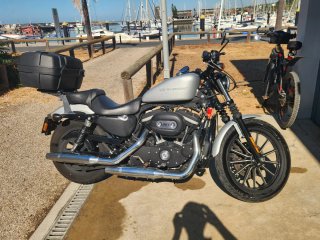 Harley Davidson Sportster Iron Gris