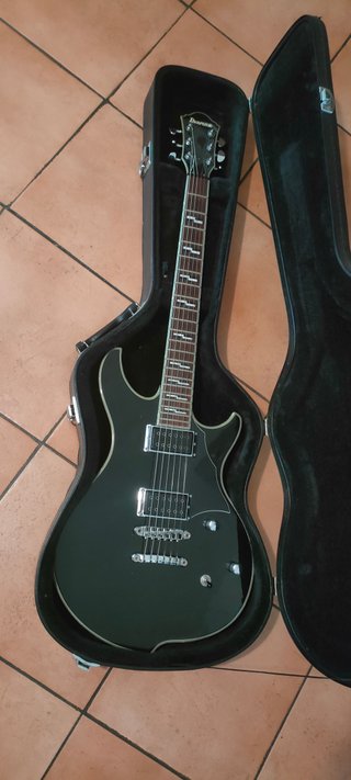 Chitarra Elettrica Ibanez SZR320 BK
