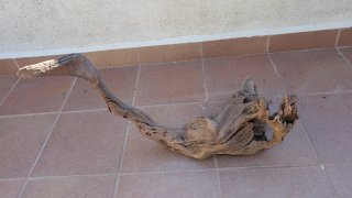 Tronco Raíz XXL para Terrario