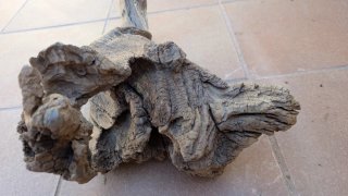 Tronco Raíz XXL para Terrario