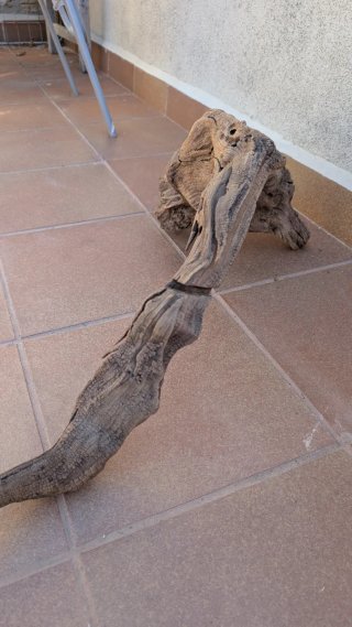 Tronco Raíz XXL para Terrario