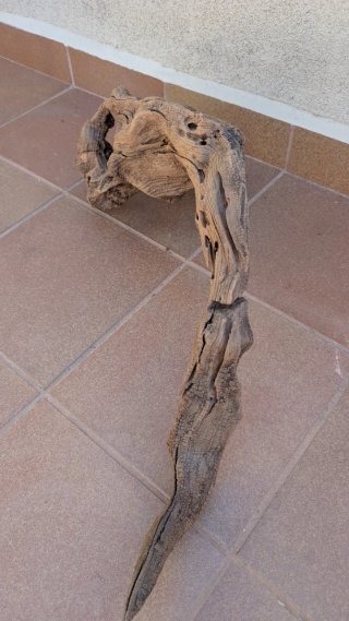 Tronco Raíz XXL para Terrario